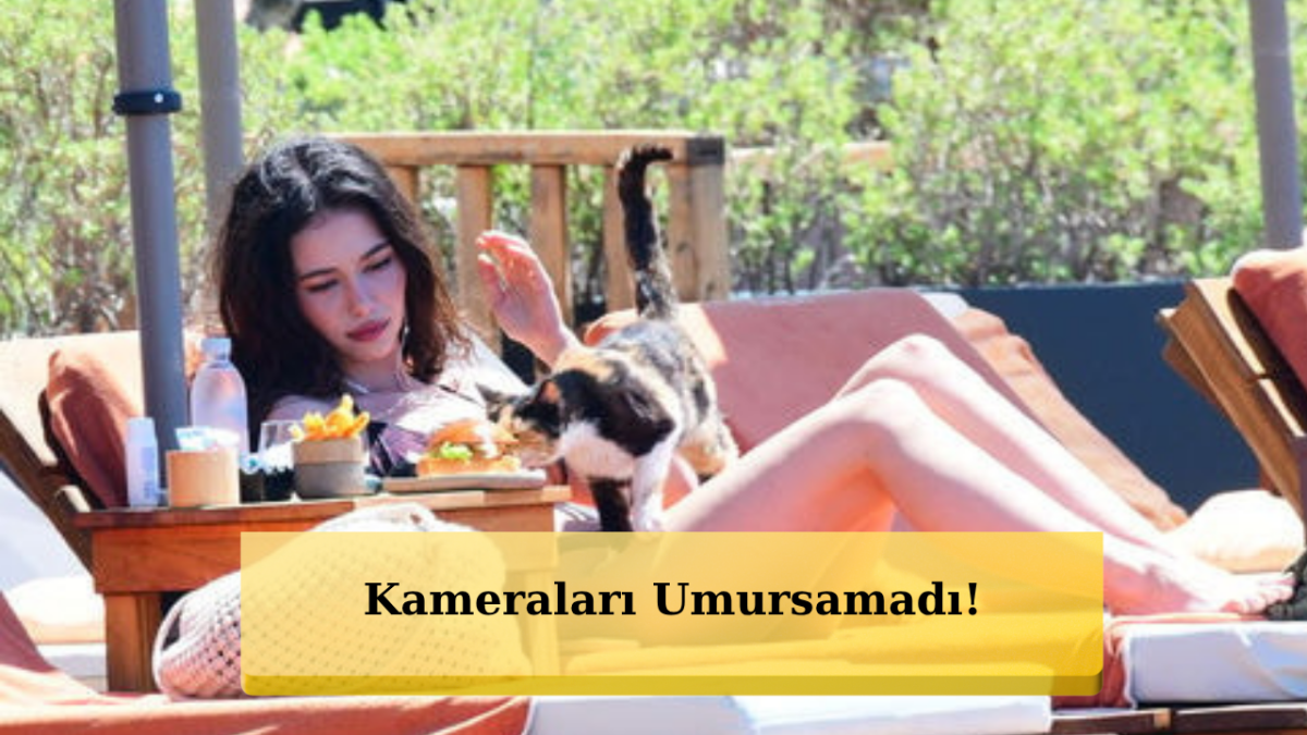 Plajda Şefkat Dolu Anlar! Güzel Oyuncu Türkü Su Demirel Yemeğini Kediyle Paylaştı!
