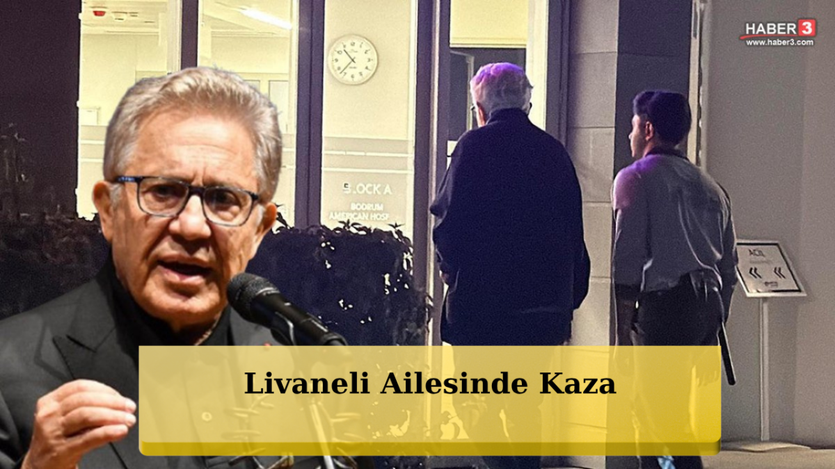 Zülfü Livaneli’nin Eşi Ülker Livaneli Kaza Geçirdi