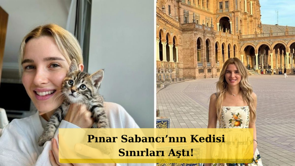 Pınar Sabancı’nın Kedisi Dante Şaşırttı! Sırada Ne Var?