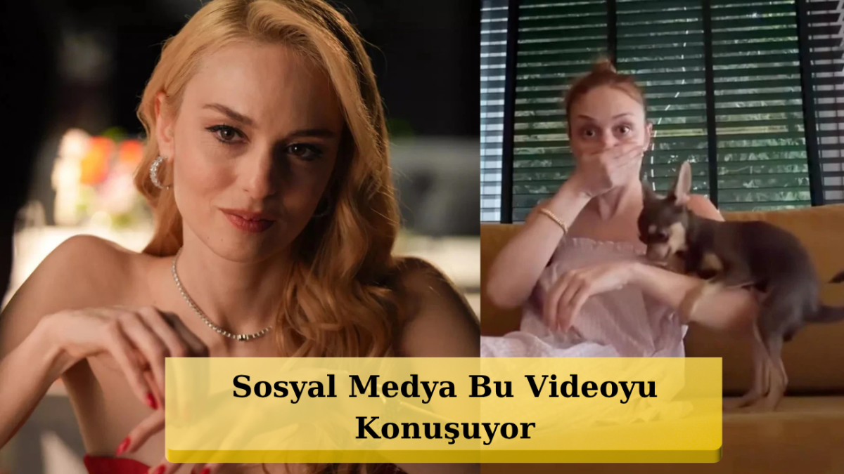 Nilperi Şahinkaya'ya Köpeği Pablo'dan Hayatının Şoku