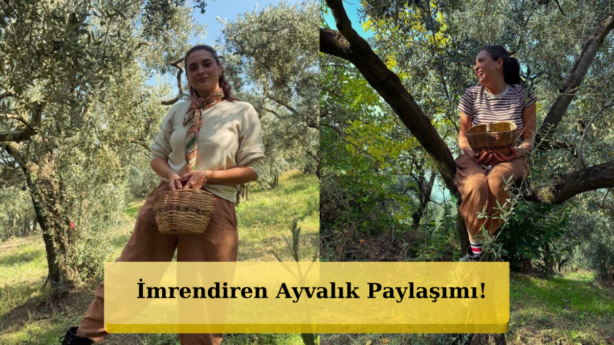 Aslıhan Gürbüz Ağaca Tırmandı: 