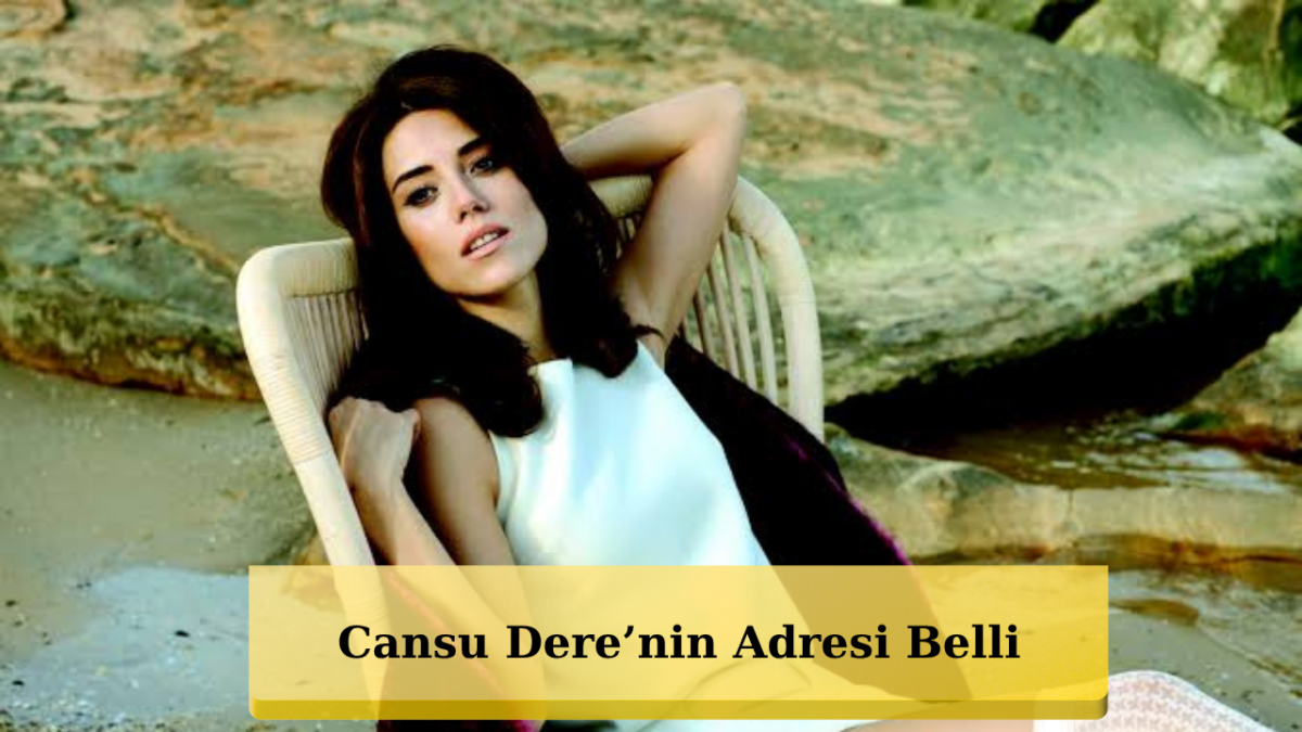 Cansu Dere Ekranlara Dönüyor! Yeni Projesi Belli Oldu