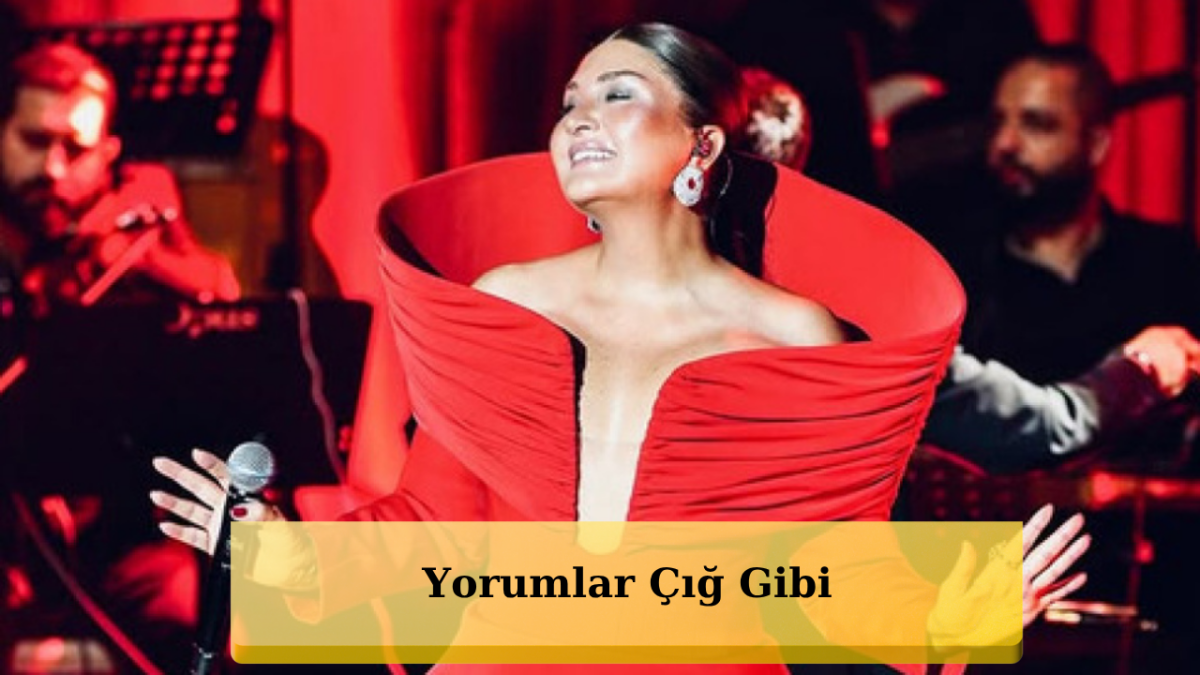 Sibel Can’ın Elbisesi Sosyal Medyayı İkiye Böldü