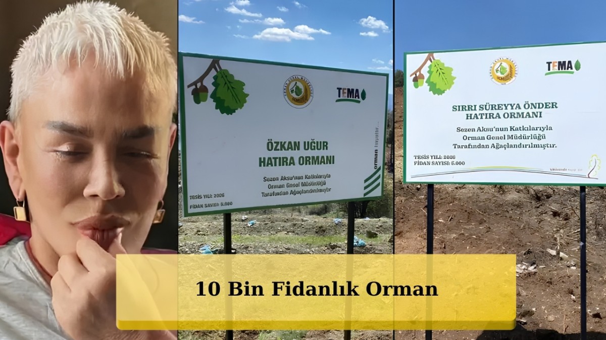 Sezen Aksu, Özkan Uğur ile Sırrı Süreyya Önder Anısına 10 Bin Fidanlık Orman Kurdu
