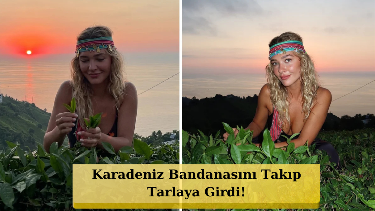 Melisa Döngel Rize'de Çay Topladı! 